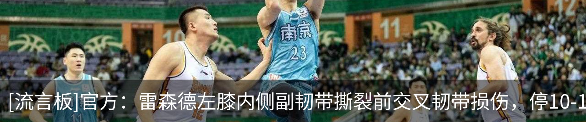 新闻动态